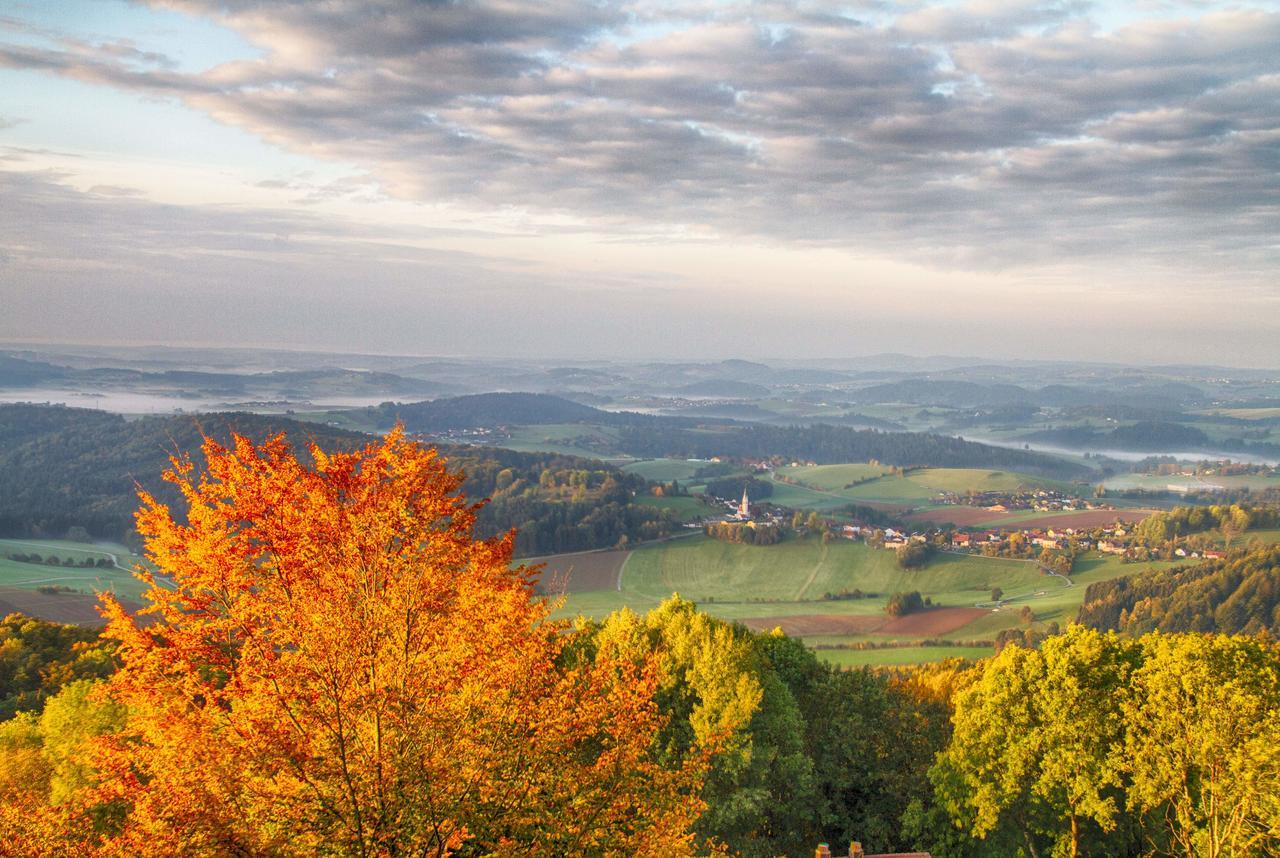 Ferienwohnungen-Bendler Freyung Bagian luar foto